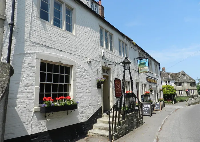 The Old Ham Tree